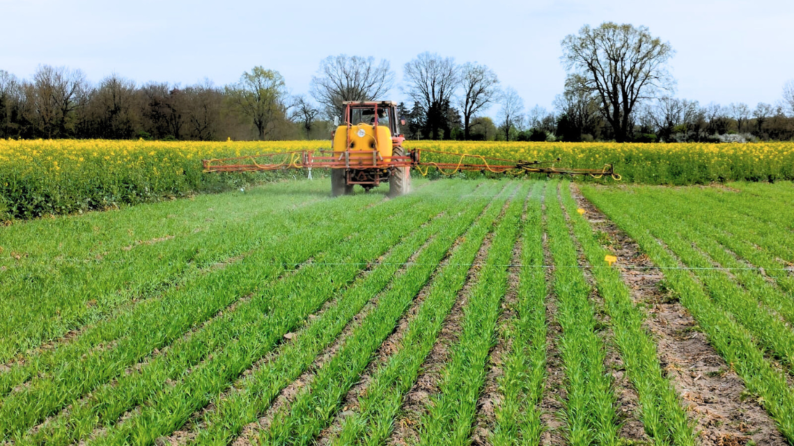 Aplikacja biostymulatorów; 1- zabieg